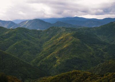 Canon Rodopi