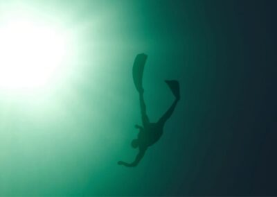 GoPro Scuba Agent